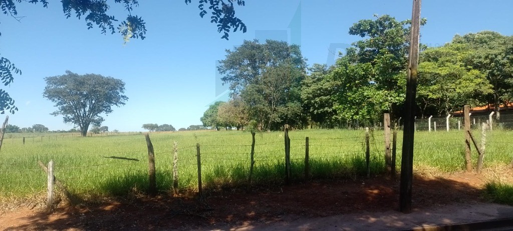 Terreno à venda, 5000m² - Foto 4
