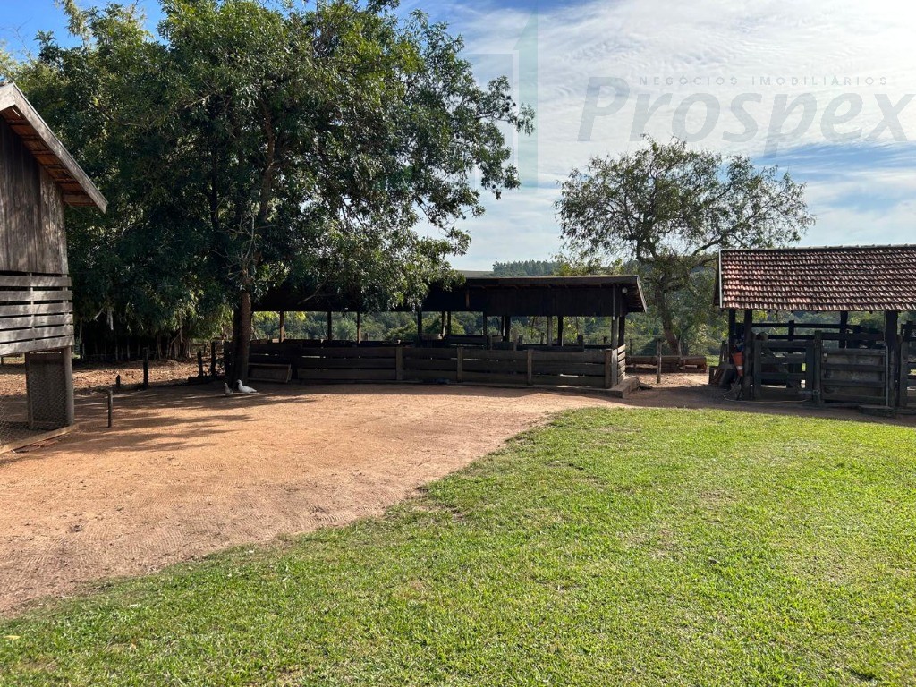 Oportunidade única: sítio à venda em balbinos-sp, com 14,36 