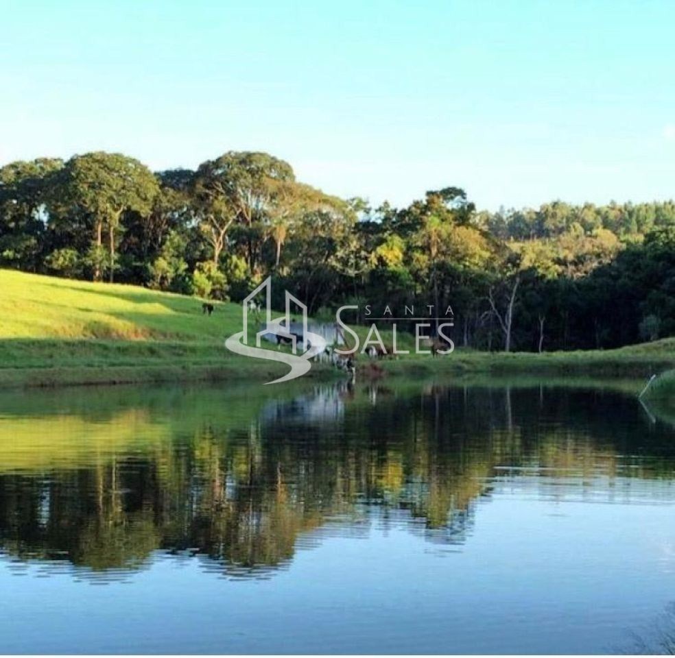Terreno à venda com 5 quartos, 2000m² - Foto 14
