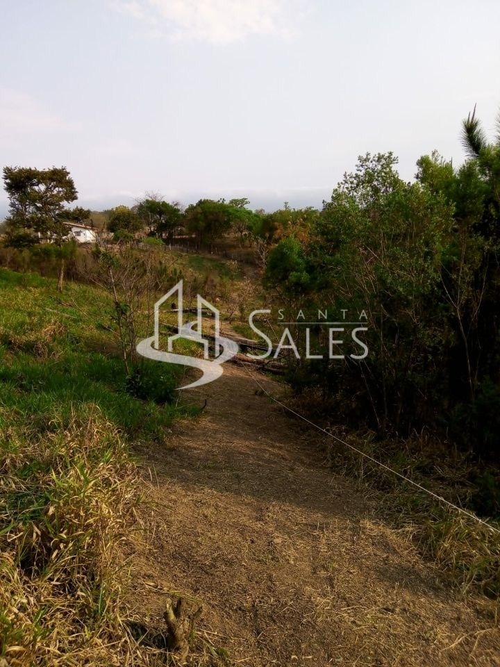 Terreno para alugar com 3 quartos, 1000m² - Foto 14