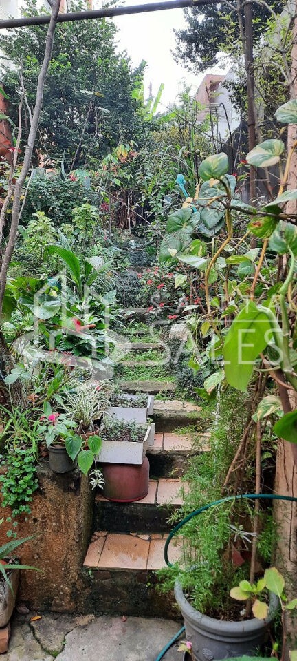 Casa, 3 quartos, 267 m² - Foto 14