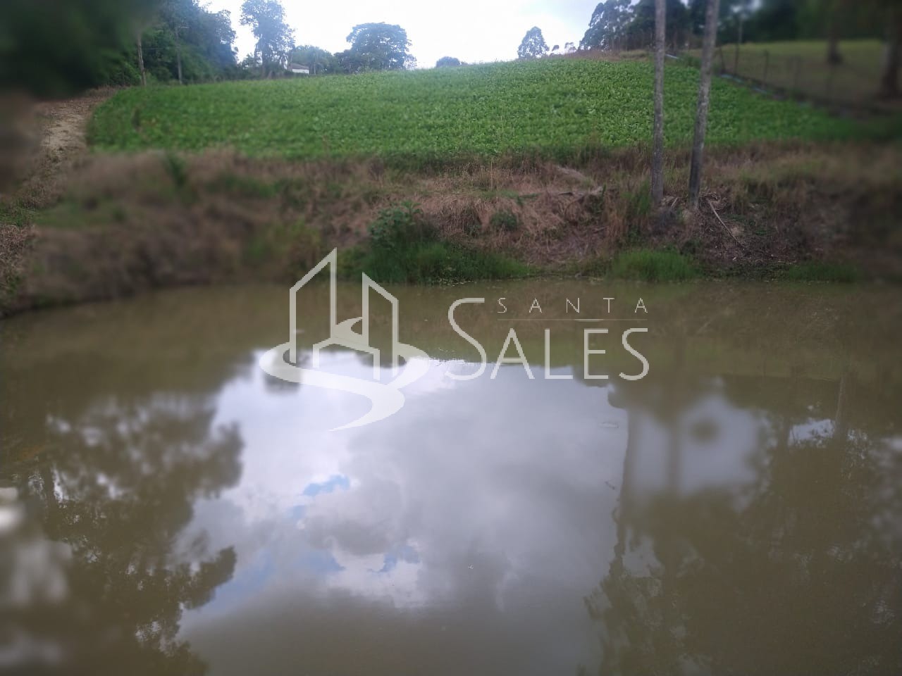 Chácara à venda com 5 quartos, 16000m² - Foto 30