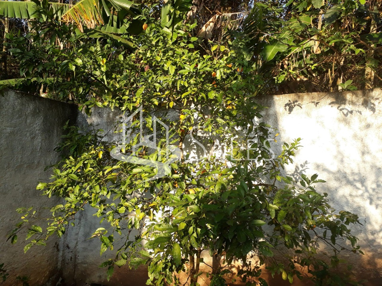 Chácara, 3 quartos - Foto 15