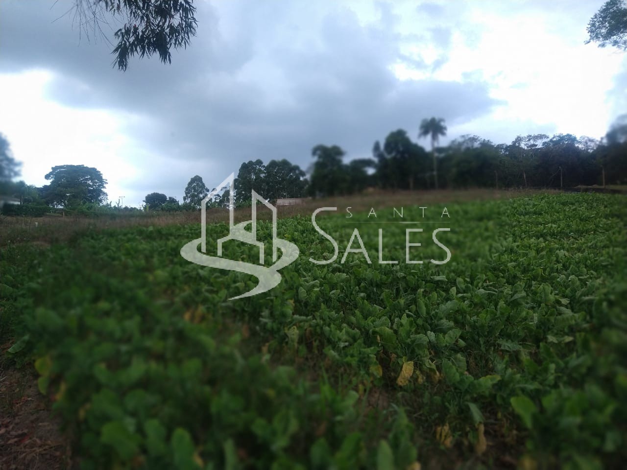 Chácara à venda com 5 quartos, 16000m² - Foto 29