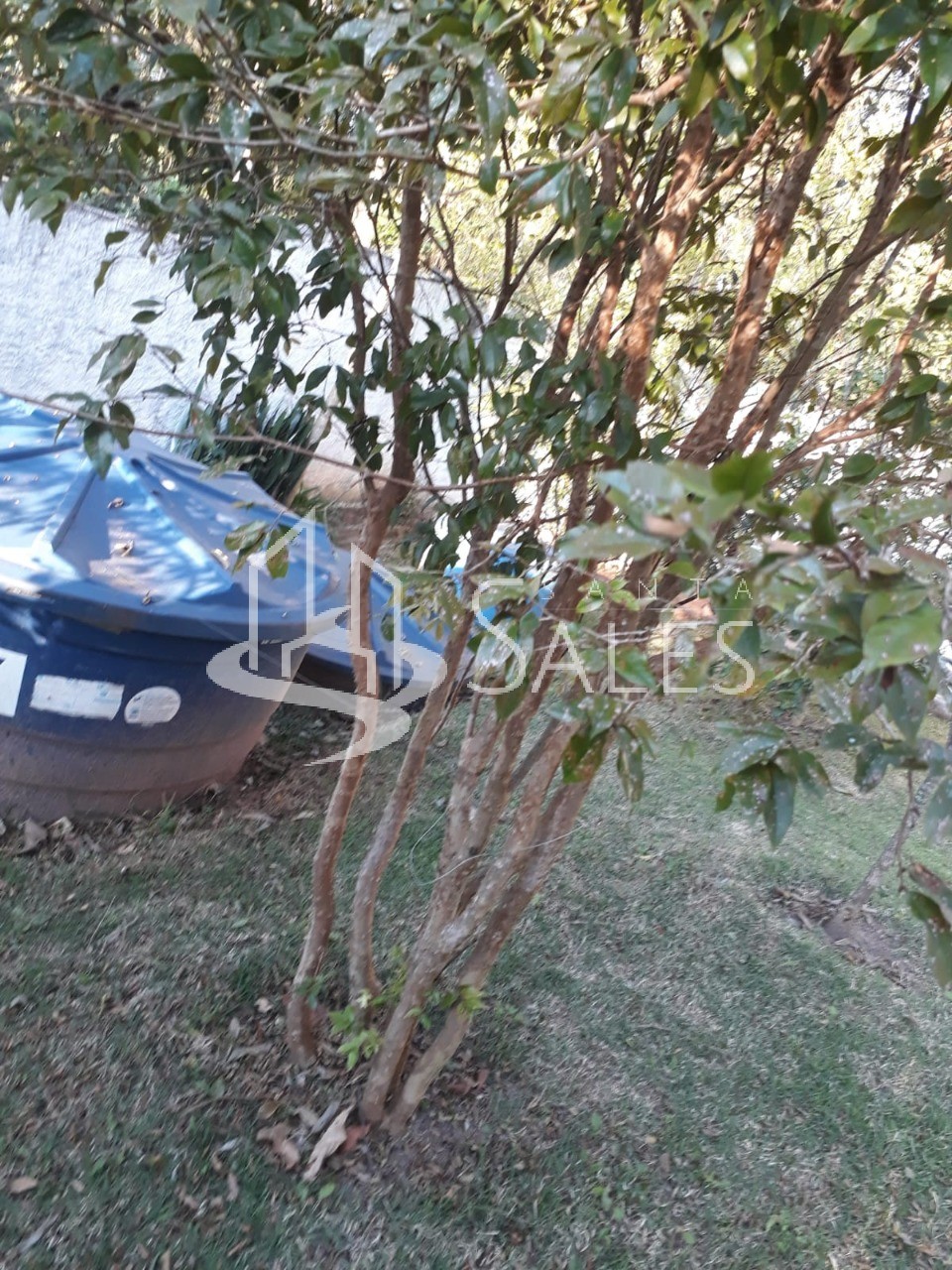 Chácara, 3 quartos - Foto 17