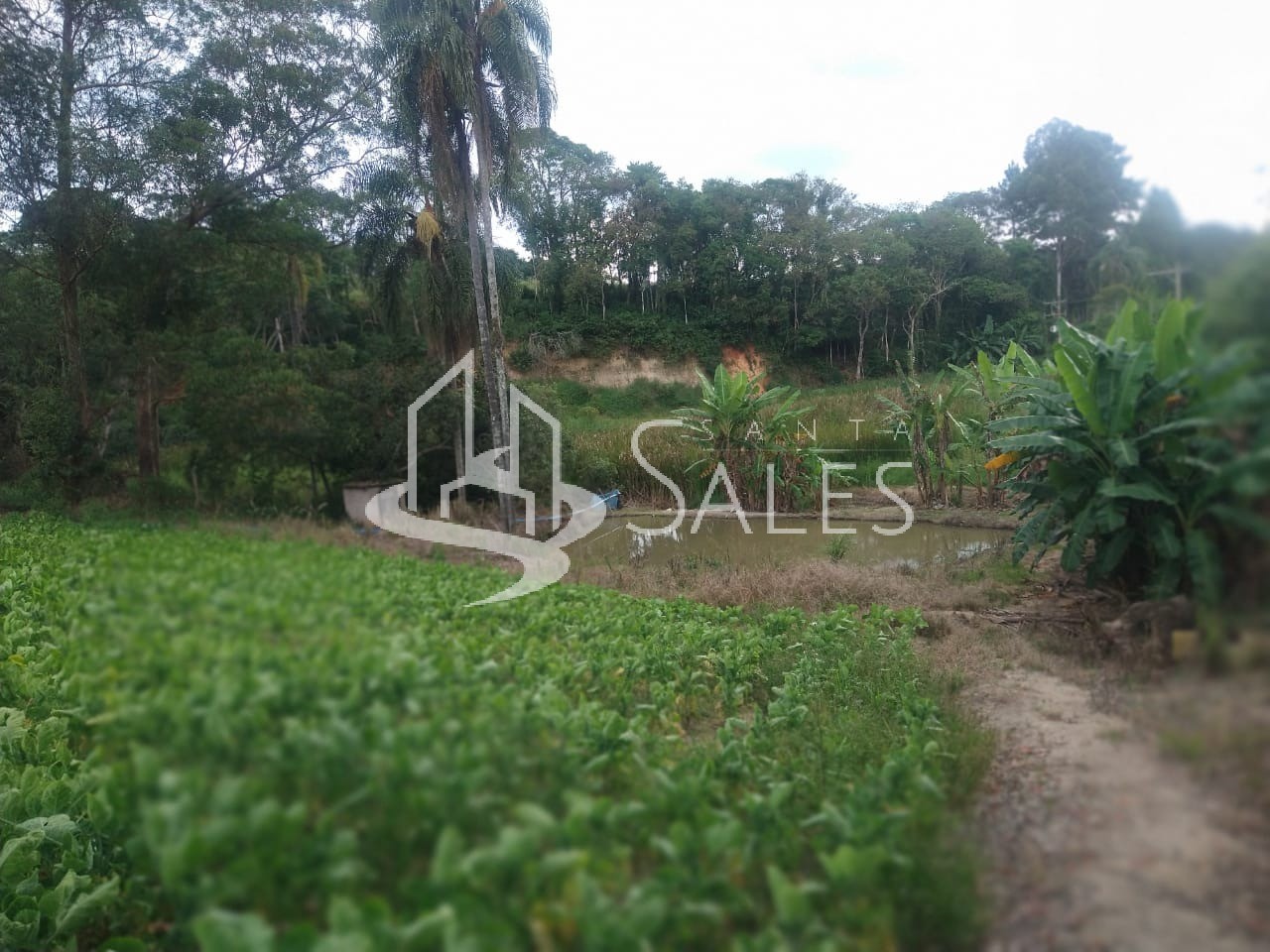 Chácara à venda com 5 quartos, 16000m² - Foto 27