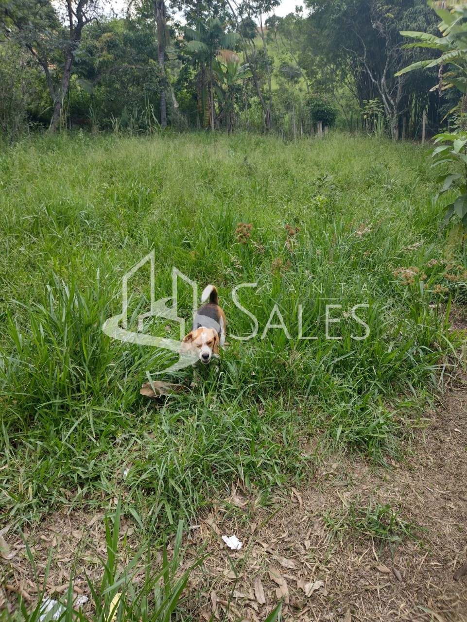 Terreno, 2100 m² - Foto 2