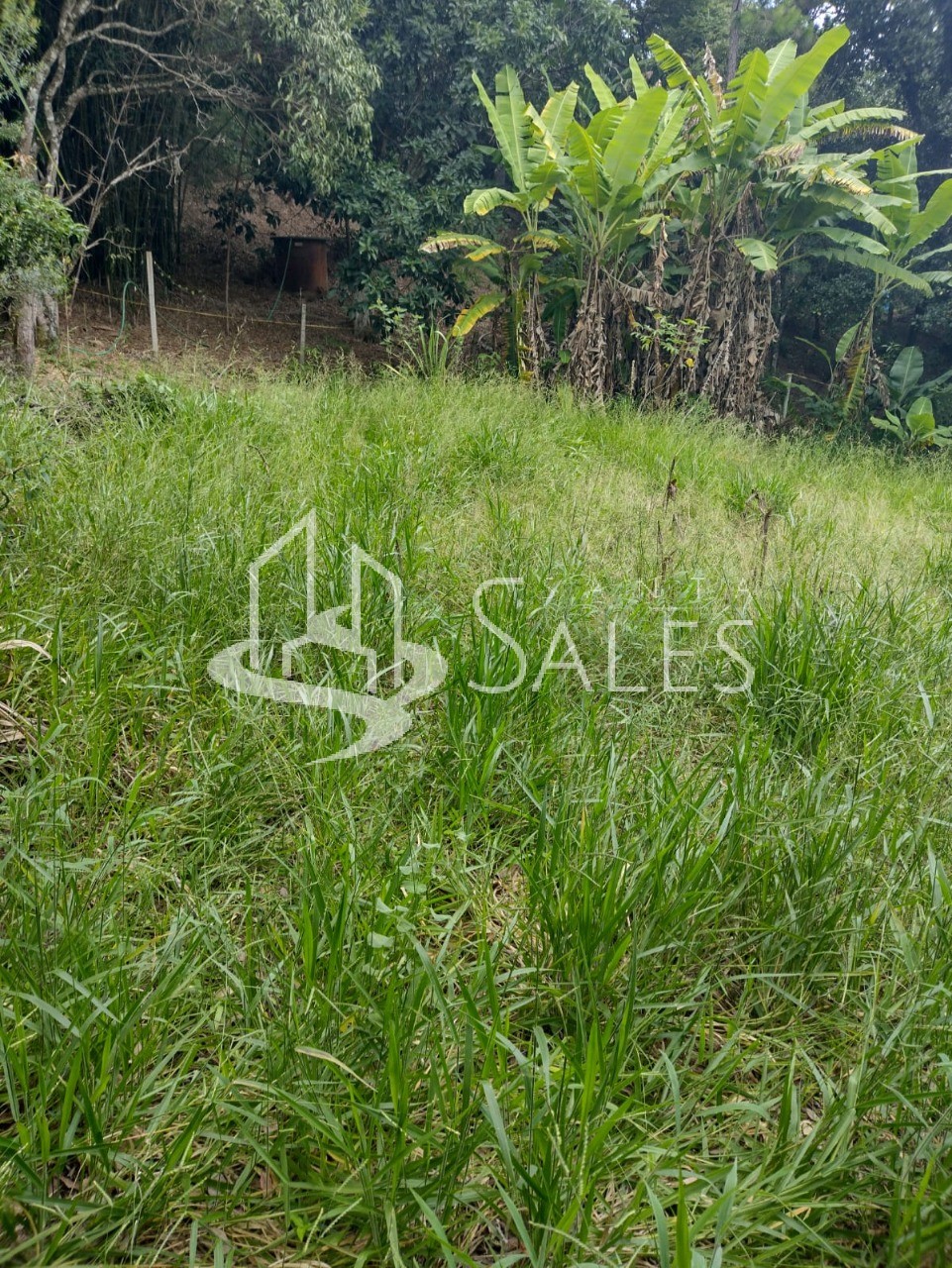 Terreno, 2100 m² - Foto 4