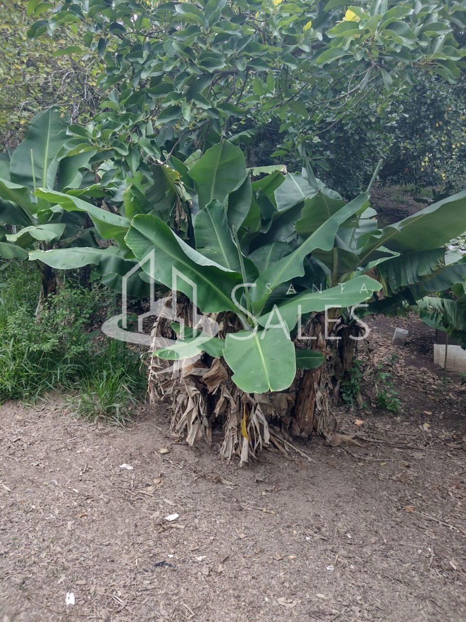 Terreno, 2100 m² - Foto 5