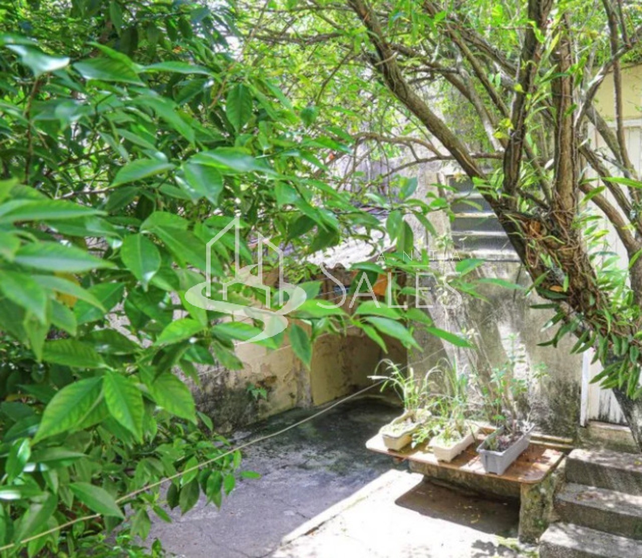 Casa, 4 quartos - Foto 13