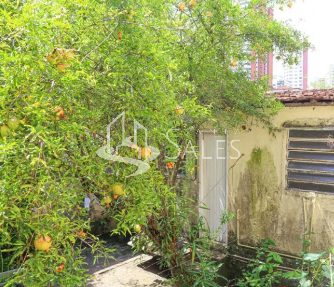 Casa, 4 quartos - Foto 12