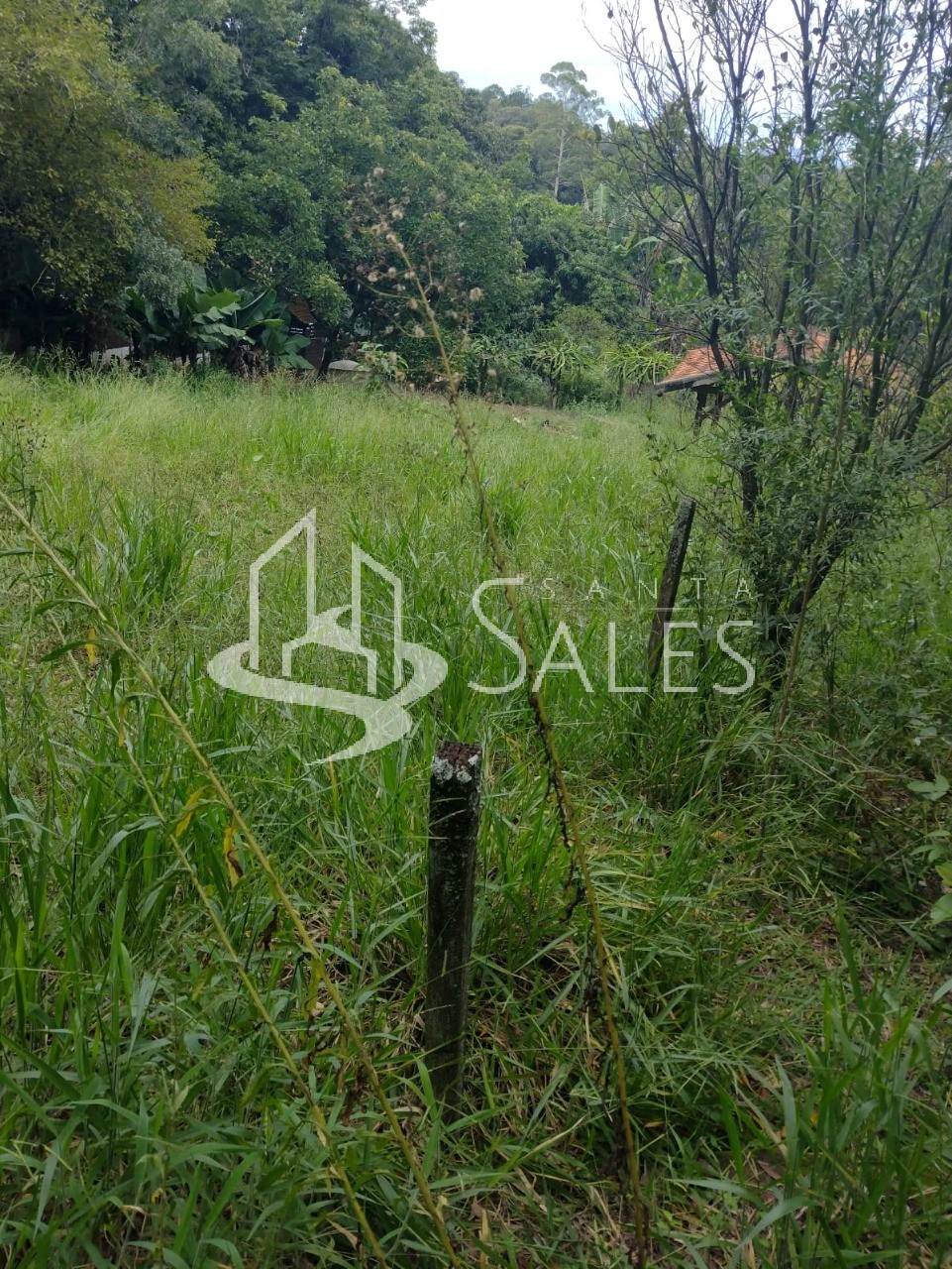 Terreno, 2100 m² - Foto 9