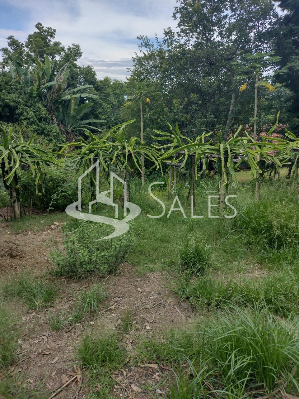 Terreno, 2100 m² - Foto 14