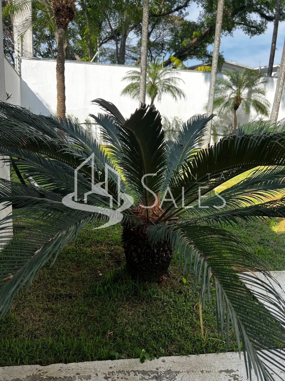 Casa, 6 quartos, 850 m² - Foto 70