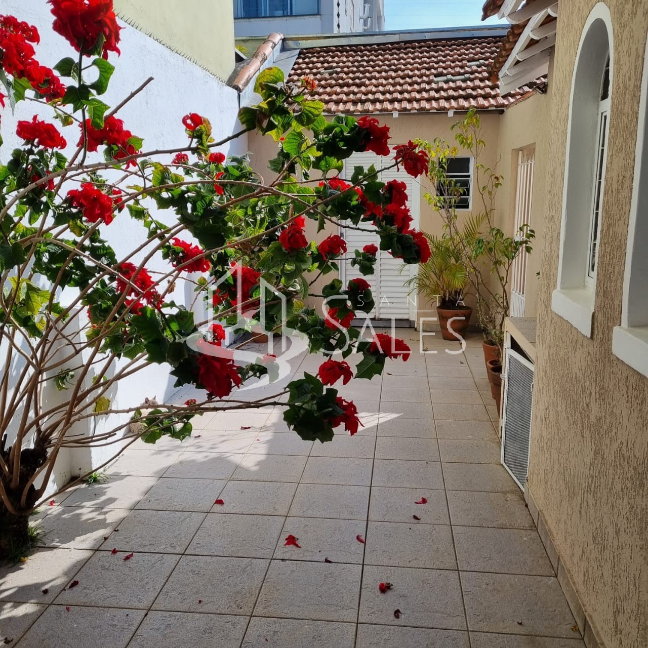 Casa, 3 quartos, 105 m² - Foto 4