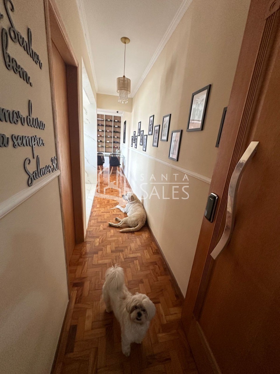Apartamento, 3 quartos, 110 m² - Foto 9
