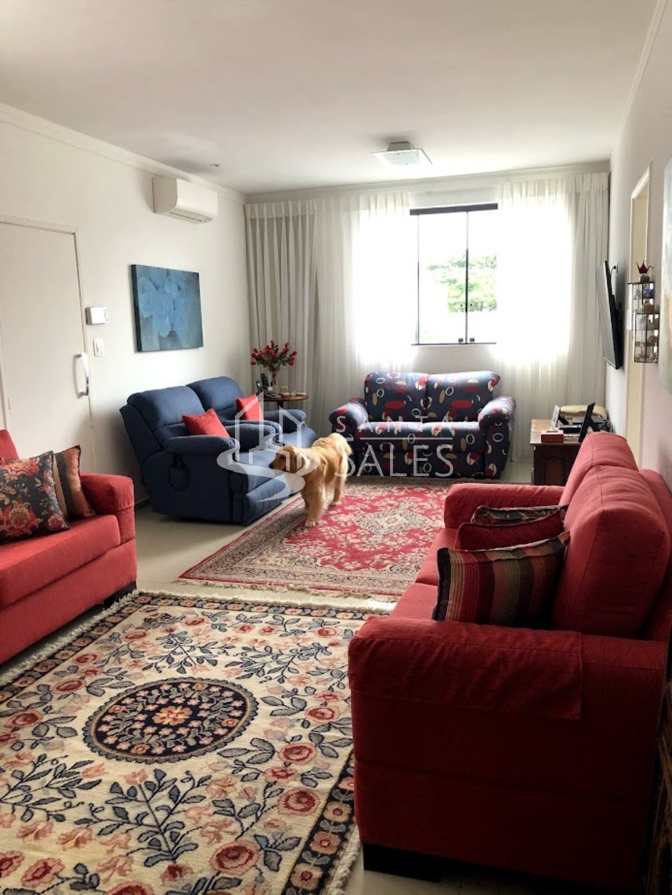 Casa, 3 quartos - Foto 28