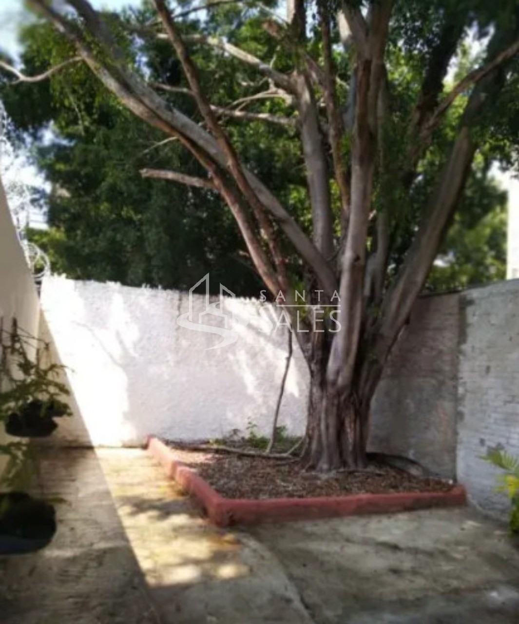 Casa, 4 quartos, 192 m² - Foto 13