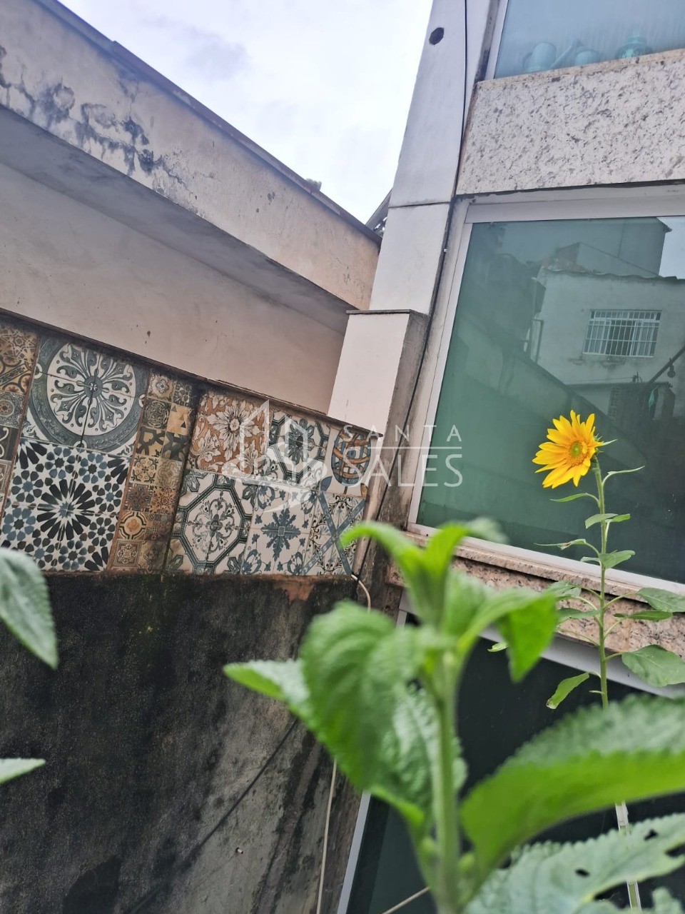 Casa, 6 quartos, 280 m² - Foto 25