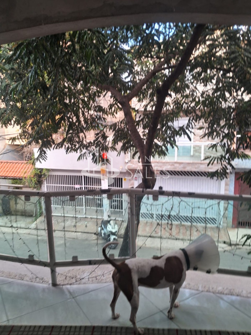 Casa, 6 quartos, 280 m² - Foto 5