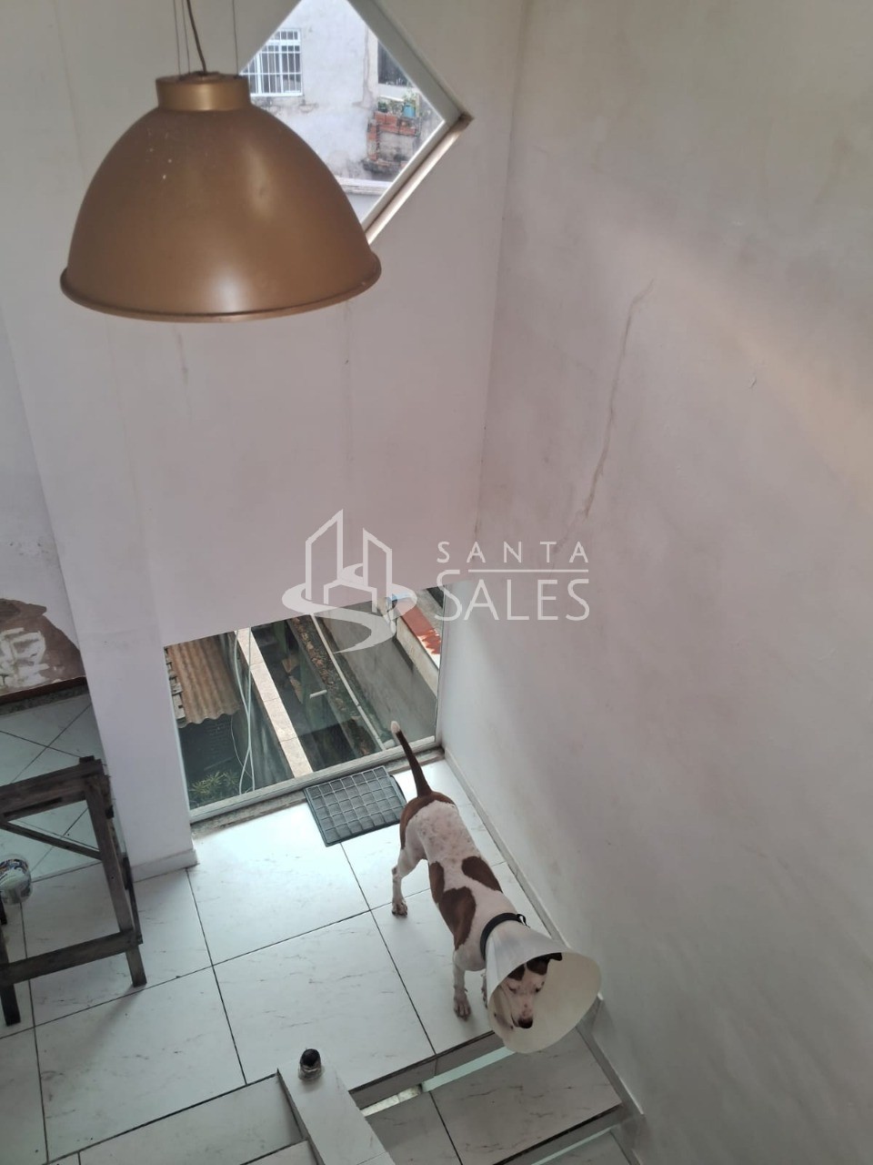 Casa, 6 quartos, 280 m² - Foto 17