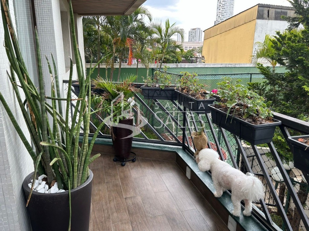 Apartamento, 3 quartos, 186 m² - Foto 23