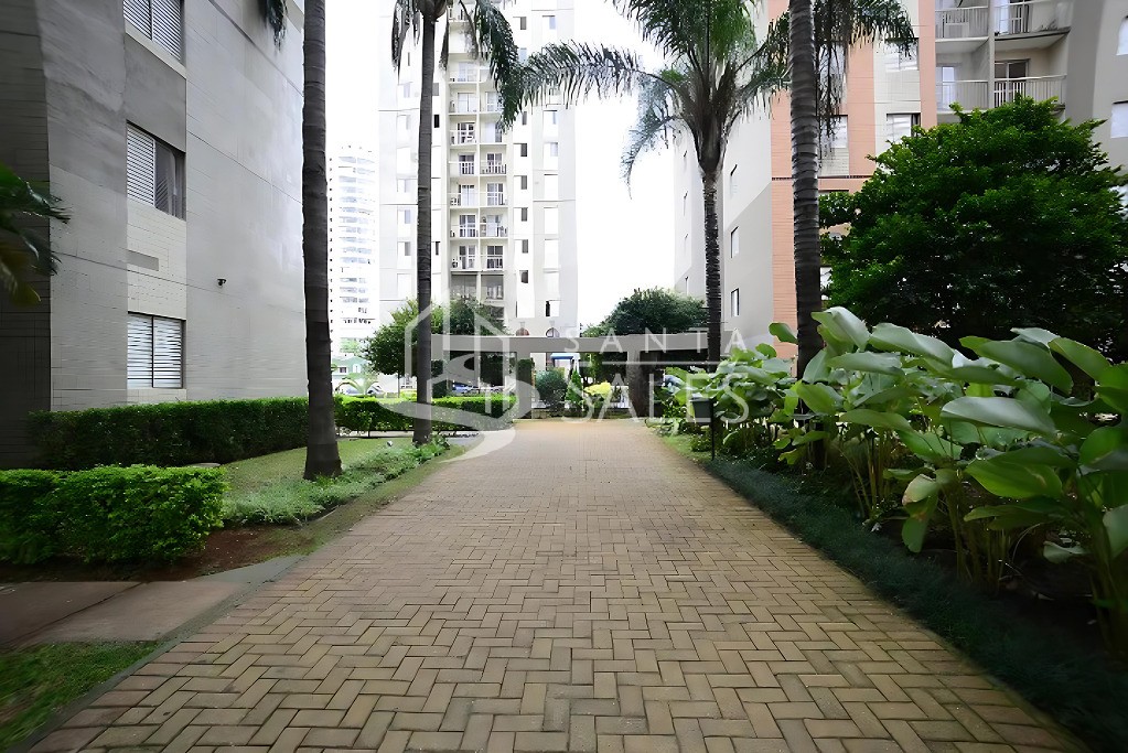 Apartamento, 3 quartos, 60 m² - Foto 25