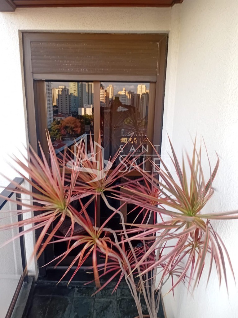 Apartamento, 4 quartos, 219 m² - Foto 41