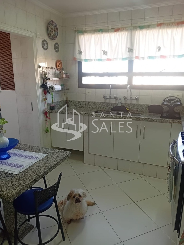 Apartamento, 4 quartos, 219 m² - Foto 11