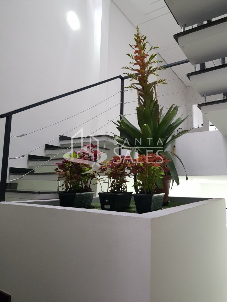 Casa, 3 quartos - Foto 19