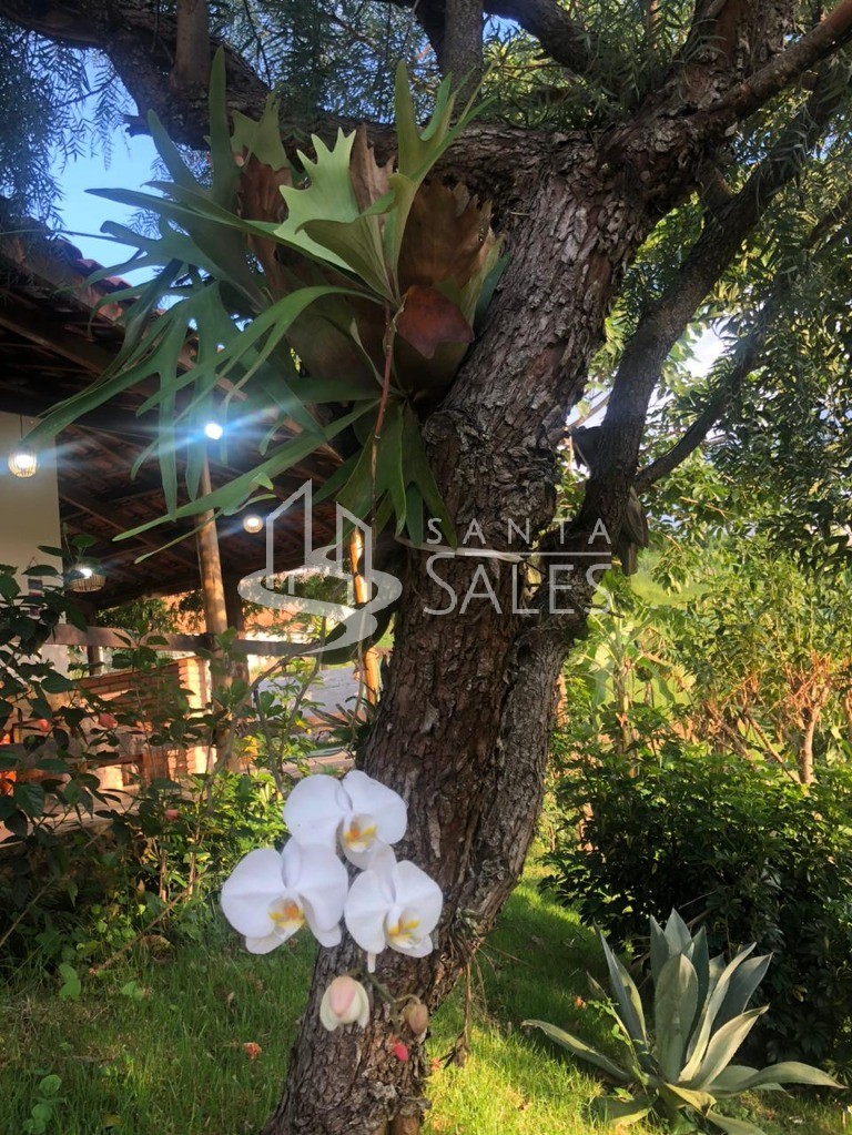 Chácara à venda com 3 quartos, 1000m² - Foto 5