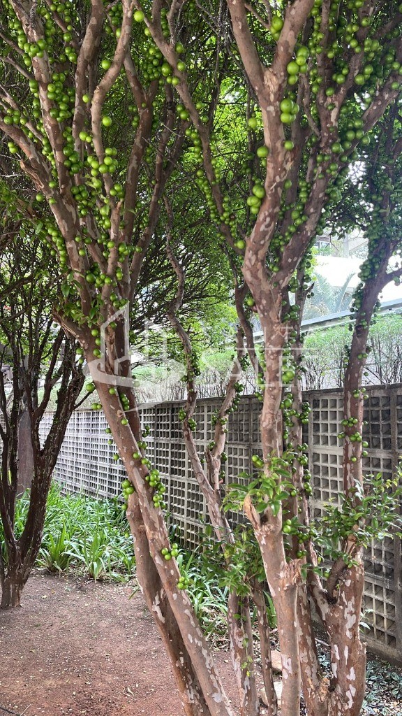 Apartamento, 2 quartos, 160 m² - Foto 23