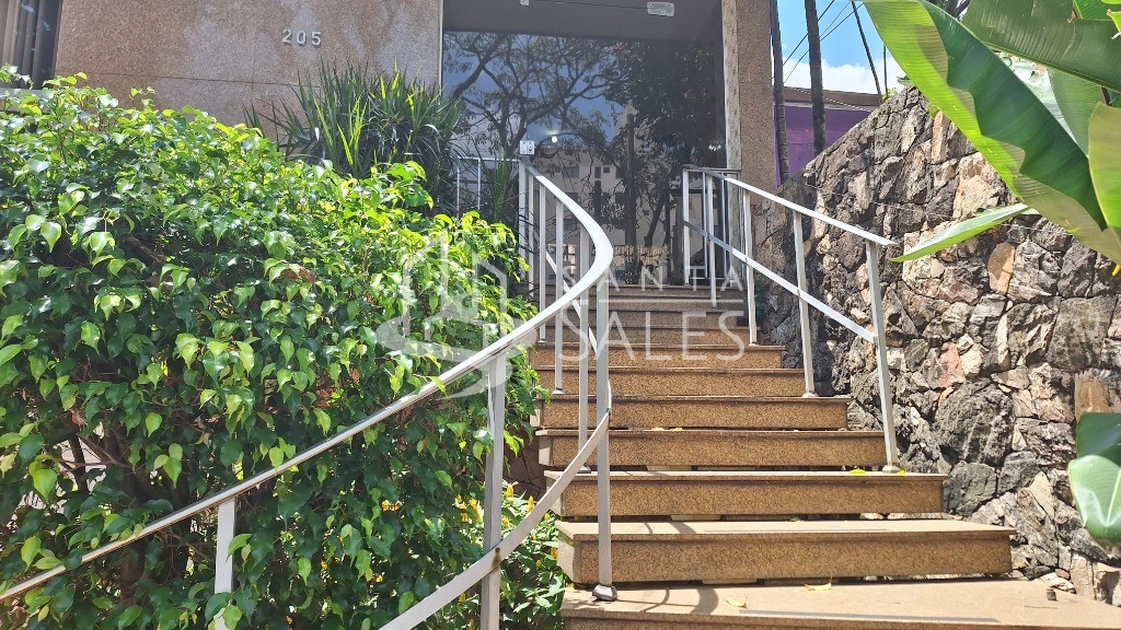 Casa, 3 quartos, 400 m² - Foto 6