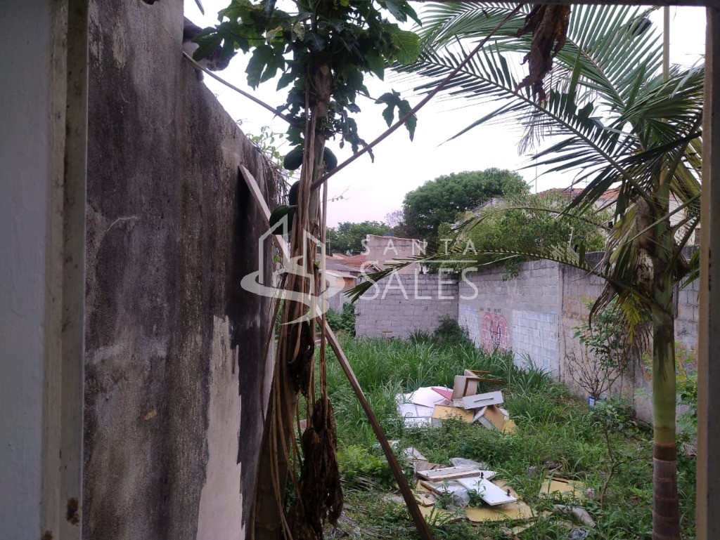 Casa, 3 quartos, 321 m² - Foto 20