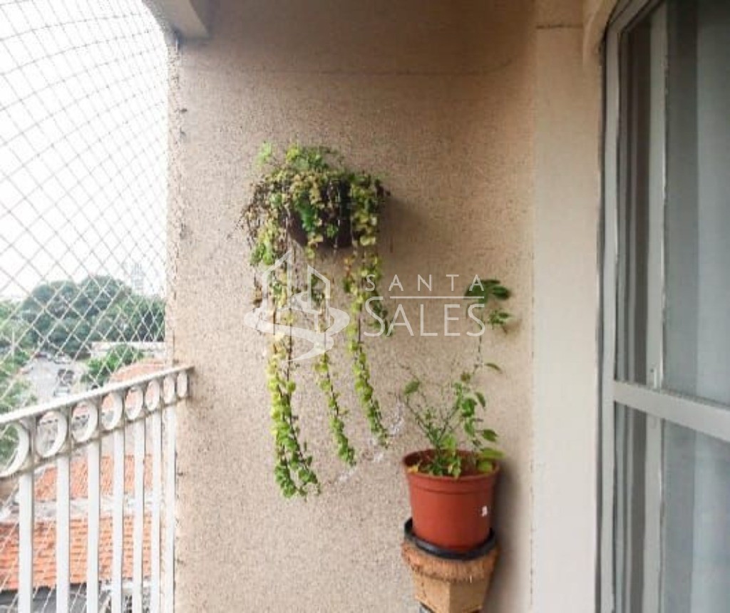 Apartamento, 3 quartos, 74 m² - Foto 15