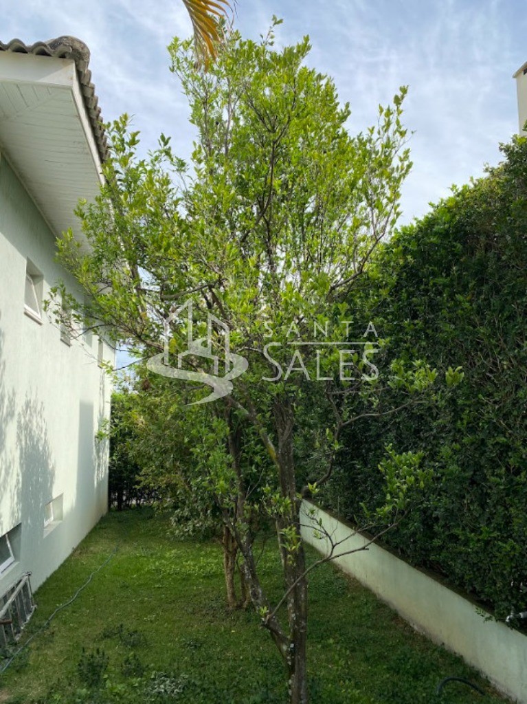 Casa, 4 quartos - Foto 32