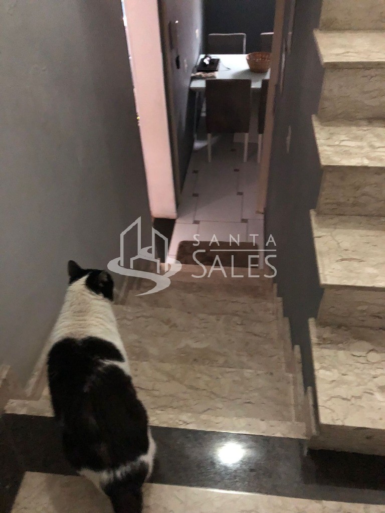 Casa, 3 quartos - Foto 11