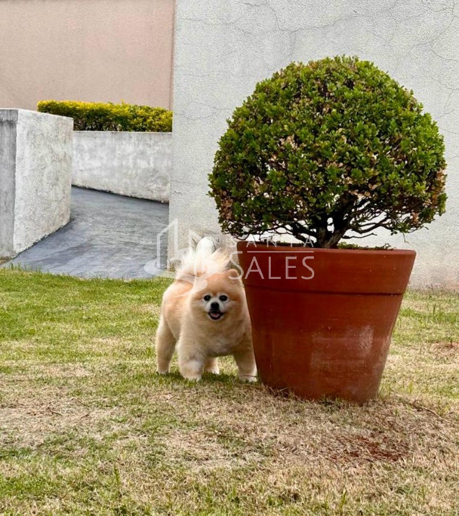 Apartamento, 2 quartos, 52 m² - Foto 30