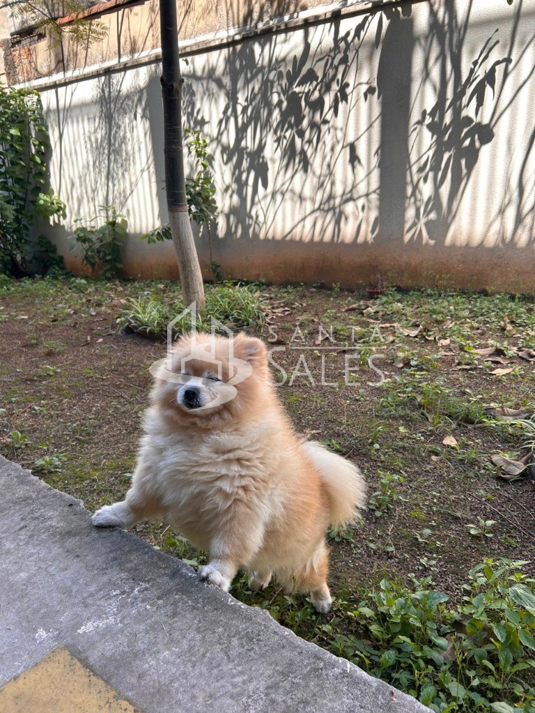 Apartamento, 2 quartos, 52 m² - Foto 29