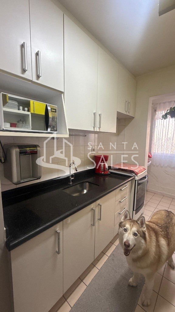 Apartamento, 3 quartos, 64 m² - Foto 4