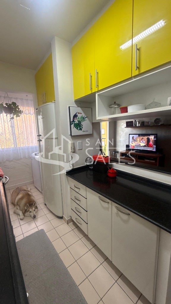 Apartamento, 3 quartos, 64 m² - Foto 6