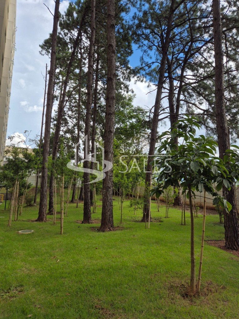 Apartamento, 2 quartos, 41 m² - Foto 16