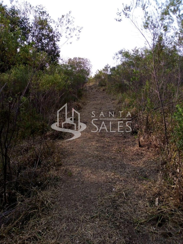 Terreno, 1000 m² - Foto 6