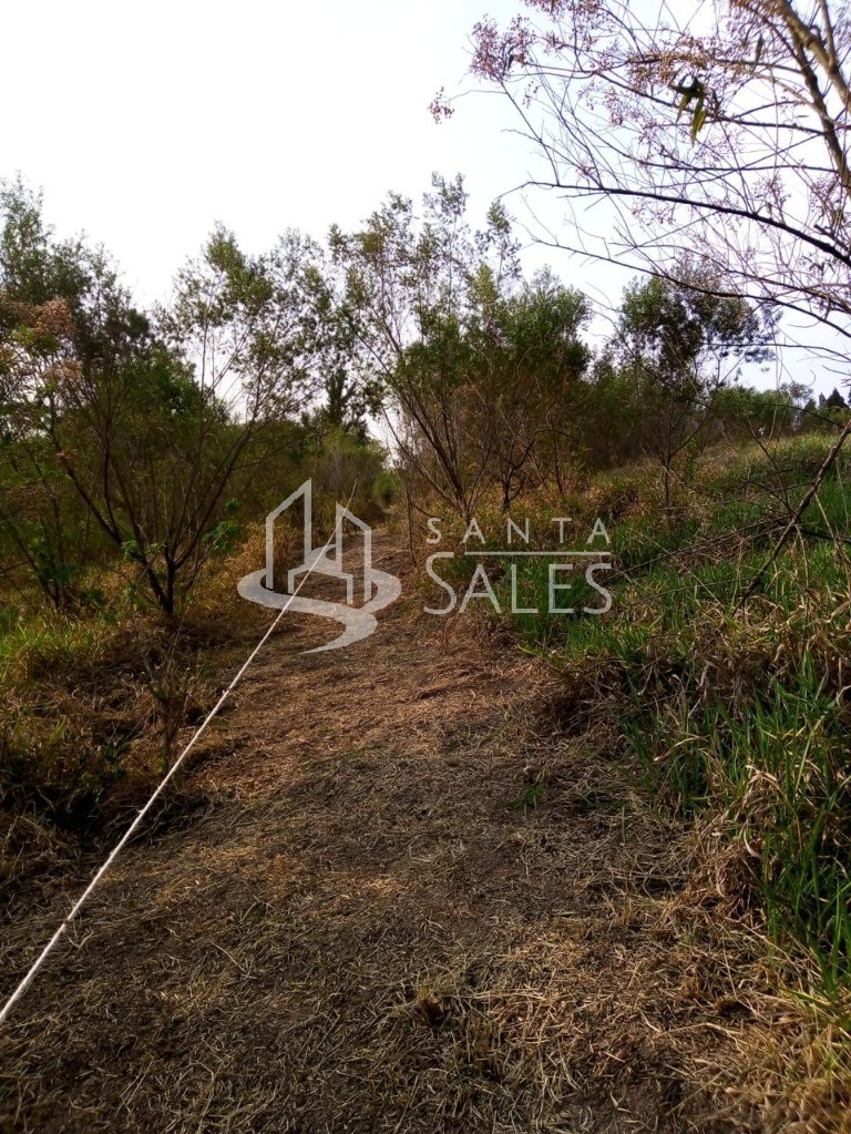 Terreno, 1000 m² - Foto 9