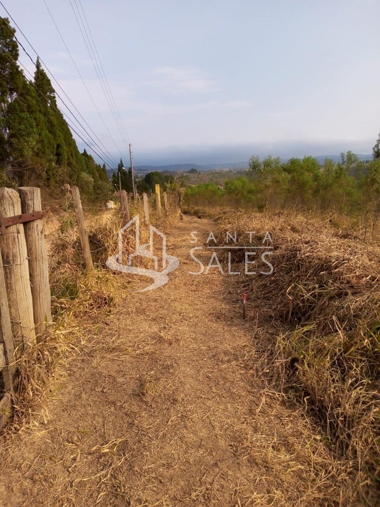 Terreno, 1000 m² - Foto 5