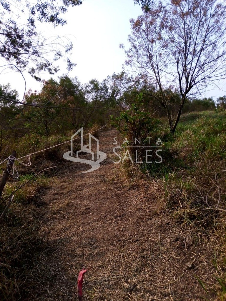 Terreno, 1000 m² - Foto 10