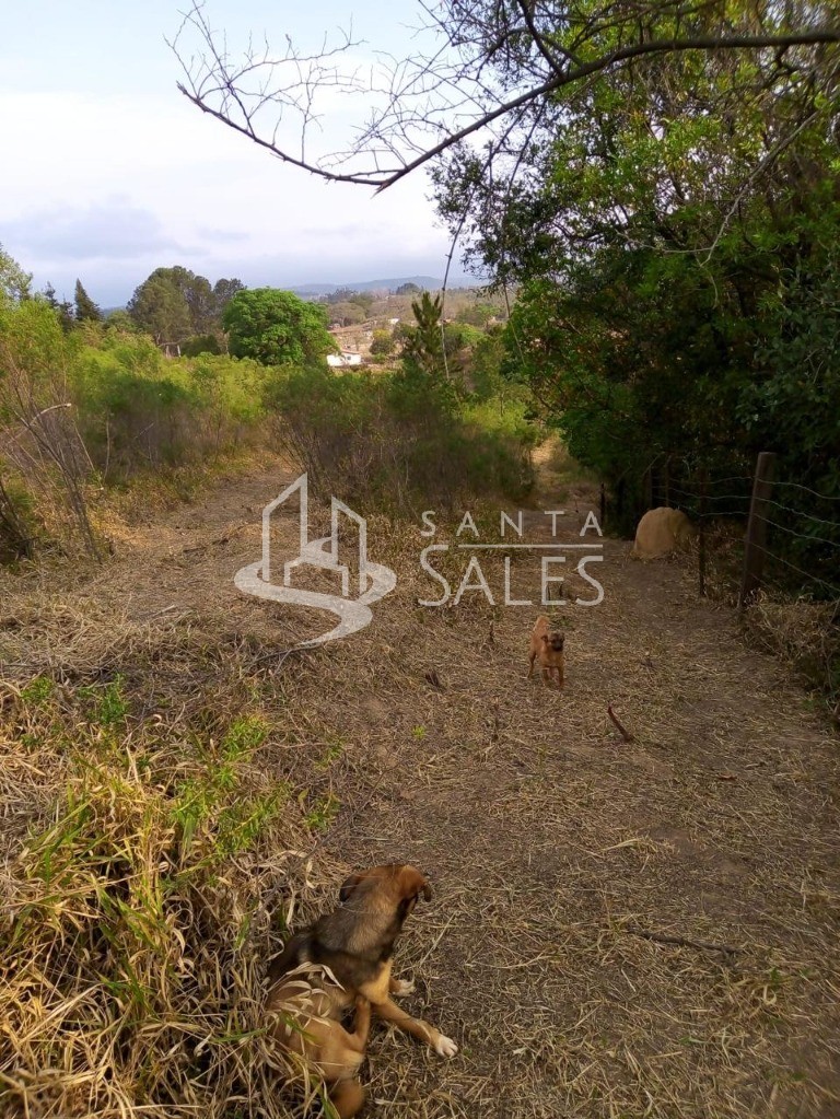 Terreno, 1000 m² - Foto 12