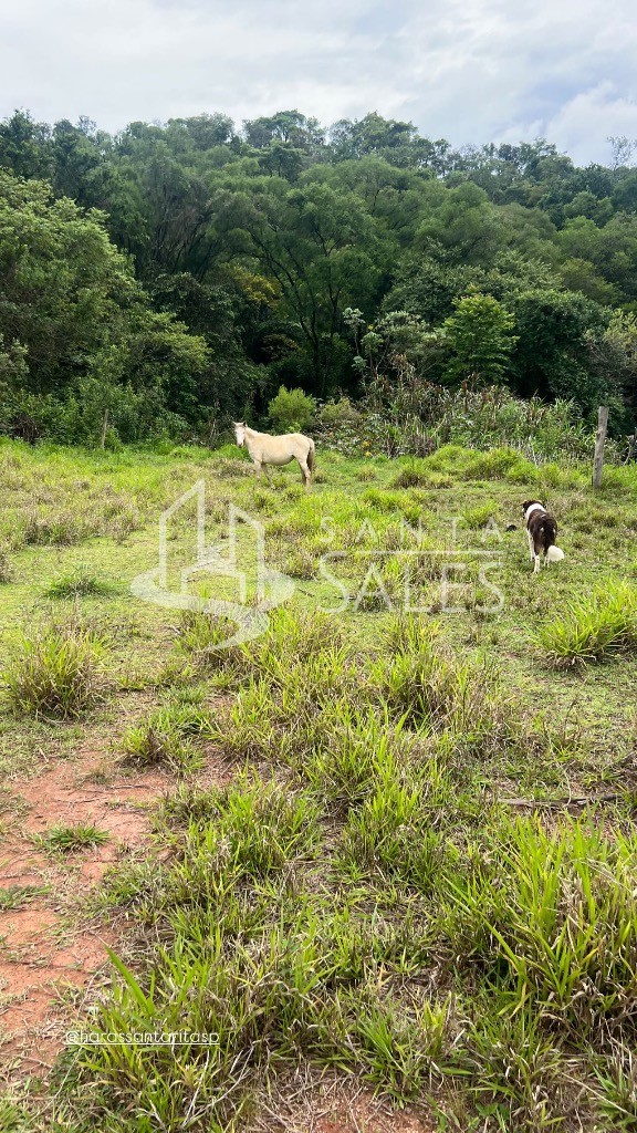 Terreno, 1000 m² - Foto 21