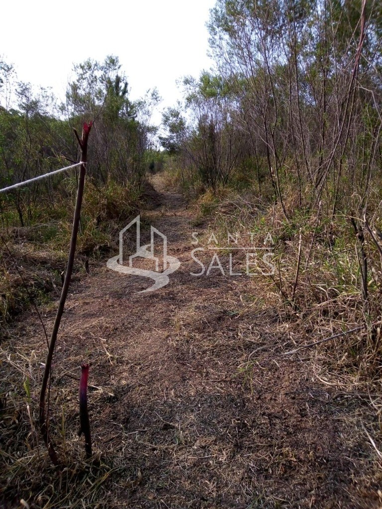 Terreno, 1000 m² - Foto 8