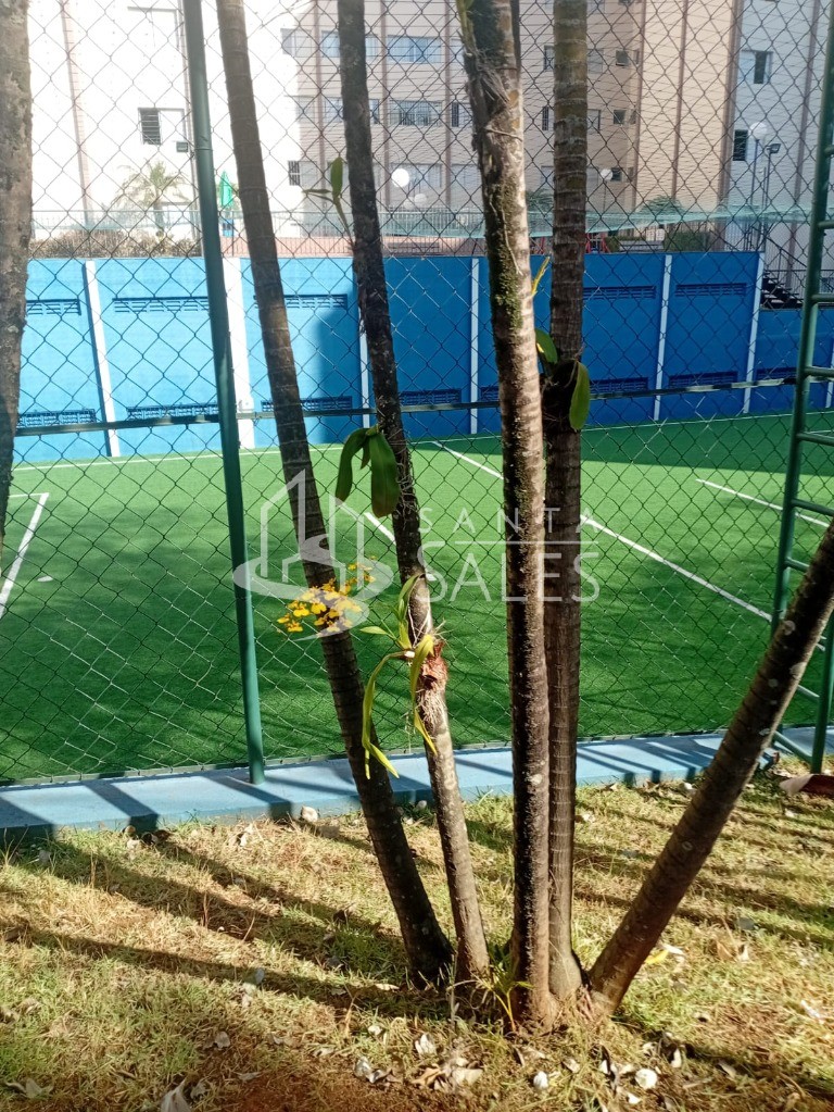 Apartamento, 3 quartos, 65 m² - Foto 37